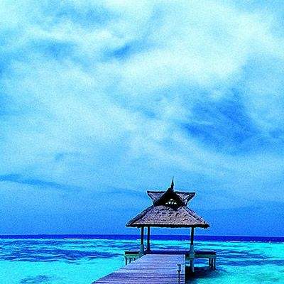 火狐体育APP截图