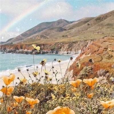 新天地棋牌下载手机版