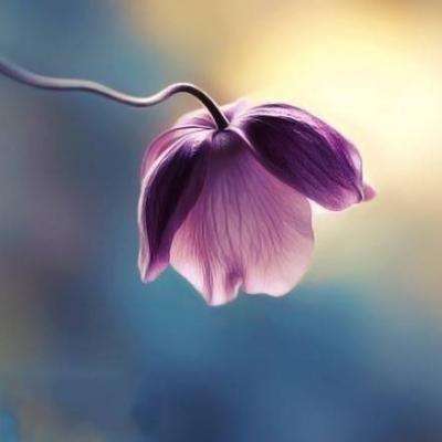 云开平台app最新版