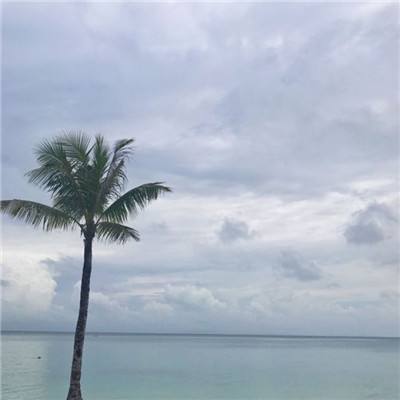 ky体育官方平台