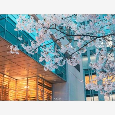 爱游戏·APPapp下载