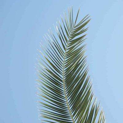 云开平台app最新版