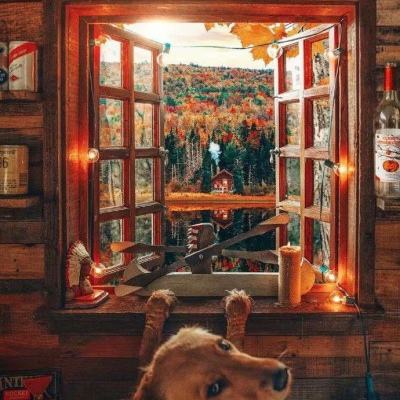 博鱼中国体育官网登录