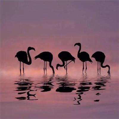 欢乐斗牛腾讯app下载